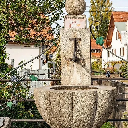 Apartment Hiesli Am Goethebrunnen *