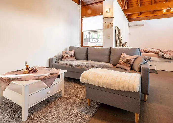 Hiesli Am Goethebrunnen 公寓